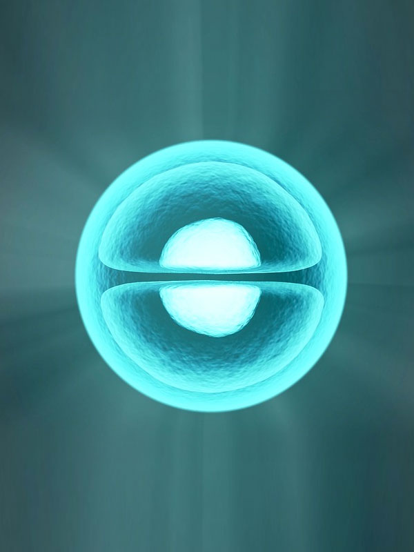 PMA San Camillo Forlanini